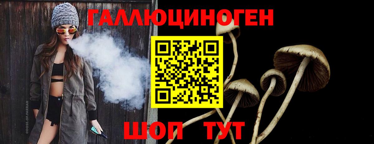 Великие Луки  Псилоцибиновые грибы MAGIC MUSHROOMS  наркота  Вход с VPN  Псилоцибиновые грибы Psilocybe 