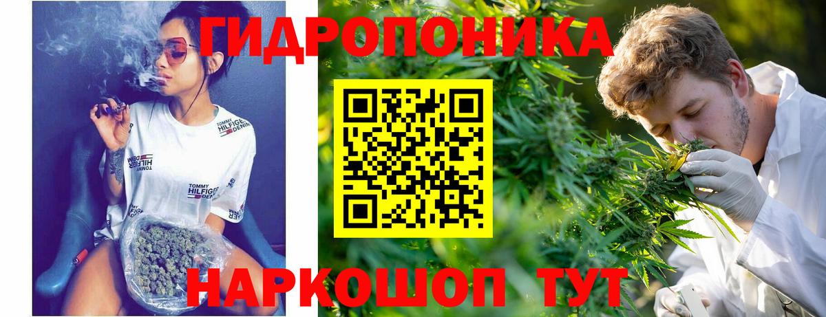 Марихуана LSD WEED  МАРИХУАНА AK-47  Великие Луки  Бошки марихуана OG Kush  Вход с VPN 